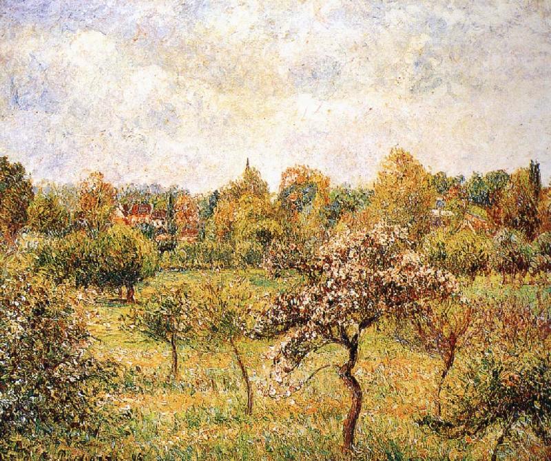 Camille Pissarro The apple trees on the lawn Sweden oil painting art